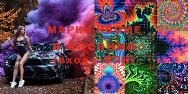 хмурый Алексин
