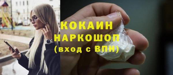 хмурый Алексин