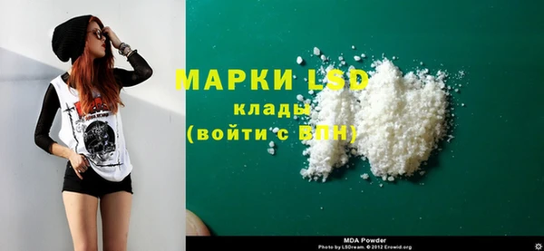 хмурый Алексин