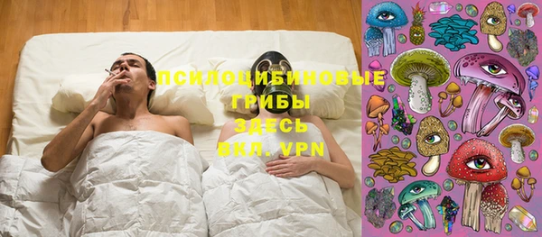хмурый Алексин