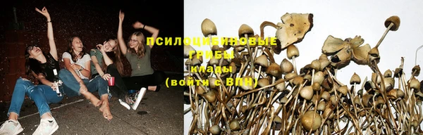 кокаин Алзамай