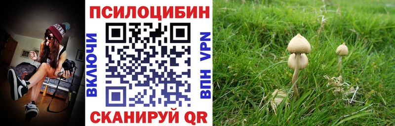 наркота  Обнинск  Галлюциногенные грибы GOLDEN TEACHER 